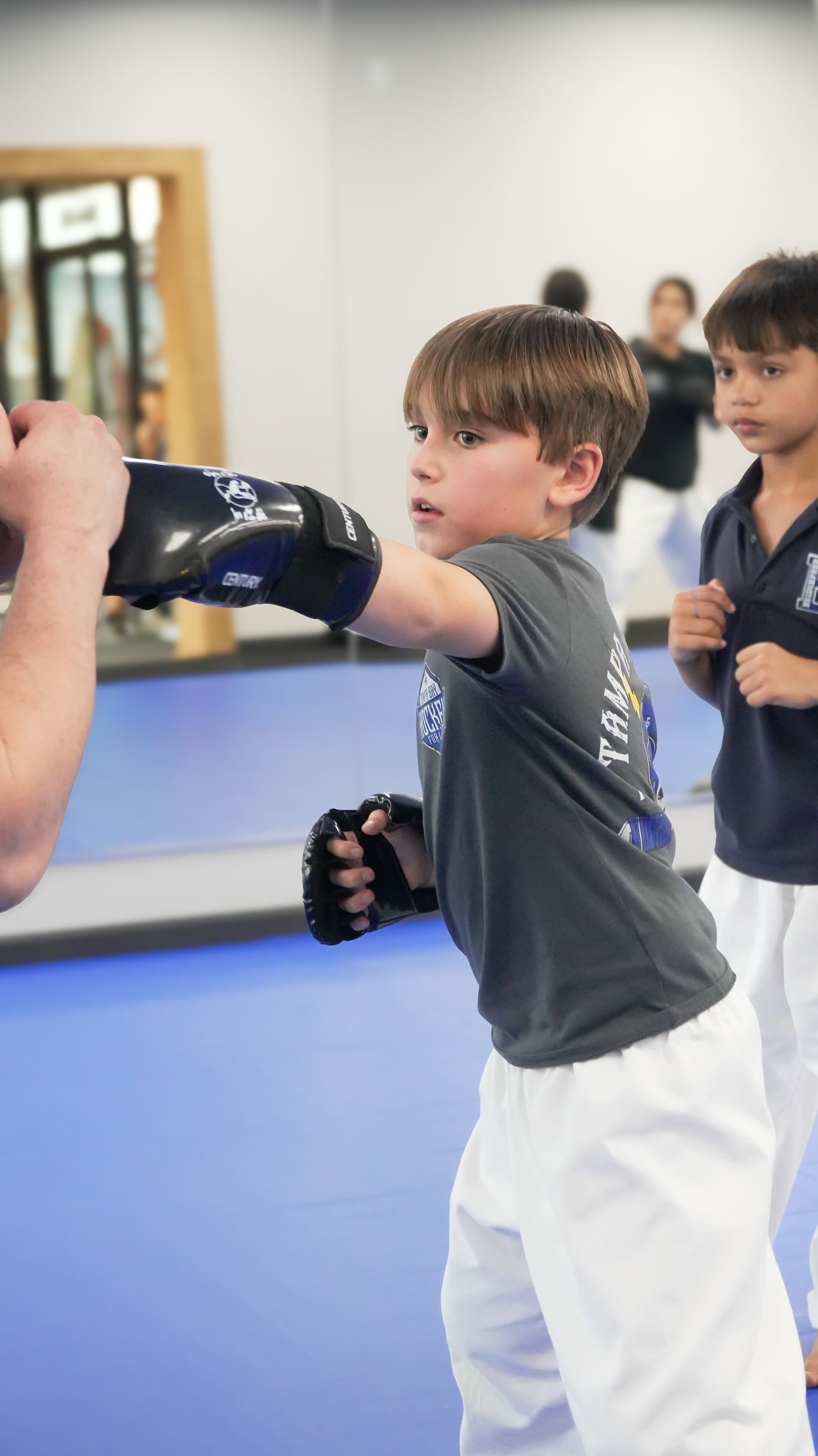 Boxing at Traditional TaeKwon-Do Center in South Tampa
